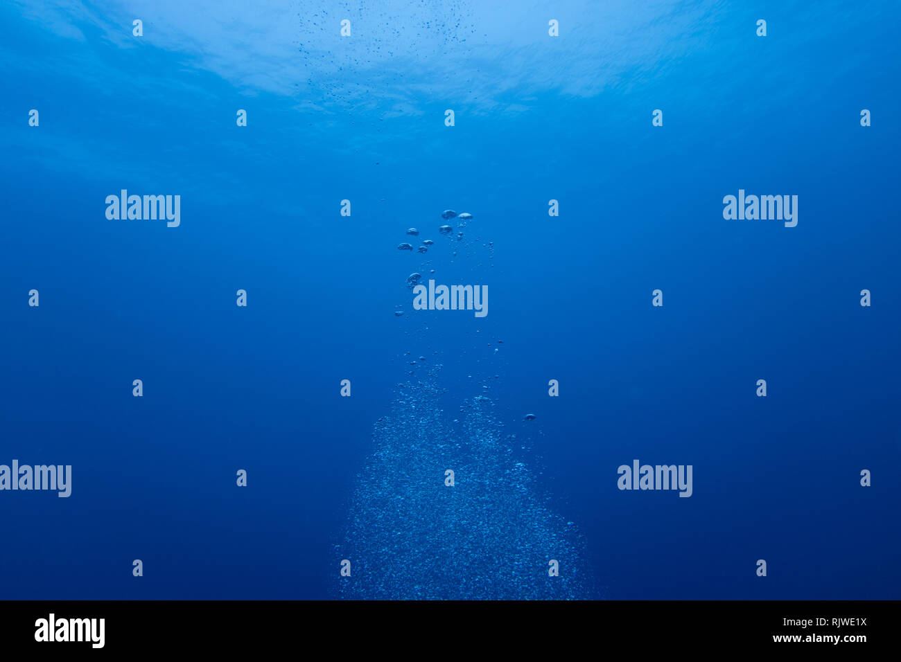 Kristallklare Luftblasen steigen aus der Tiefe des Ozeans, blau Stockfoto