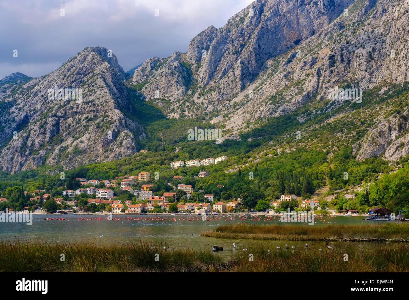Donj Orahovac, Bucht von Kotor, Provinz von Kotor, Montenegro Stockfoto