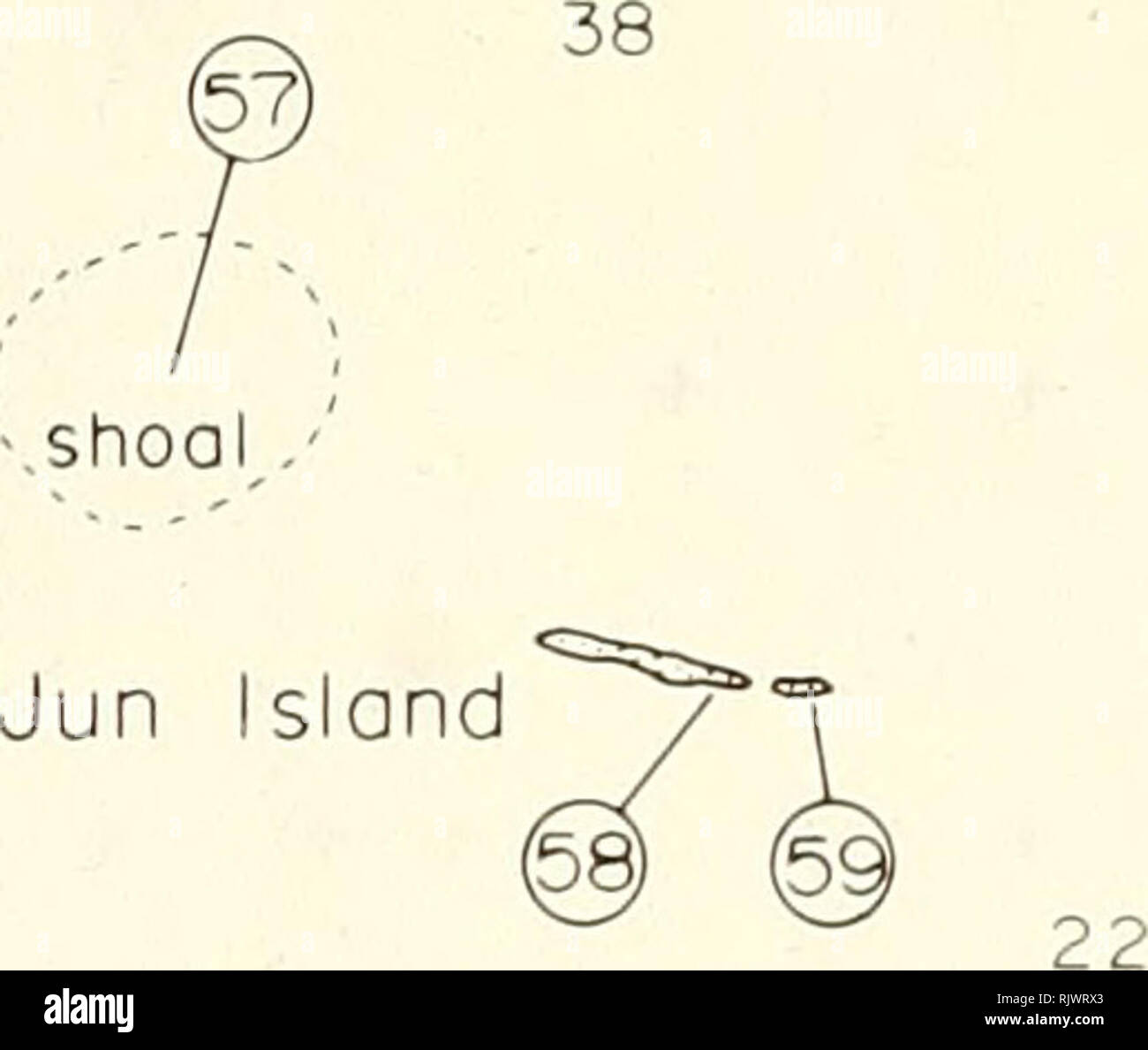 . Atoll Forschung Bulletin. Korallenriffe und Inseln; Meeresbiologie; Marine Sciences. 8 82 70 M Daymaniyat Inseln. Bitte beachten Sie, dass diese Bilder sind von der gescannten Seite Bilder, die digital für die Lesbarkeit verbessert haben mögen - Färbung und Aussehen dieser Abbildungen können nicht perfekt dem Original ähneln. extrahiert. Smithsonian Institution. Drücken Sie; National Research Council (U. S.). Pacific Science Board, Smithsonian Institution, National Museum of Natural History (U. S.); in den Vereinigten Staaten. Bureau des Sports Fischerei und Wild lebende Tiere. Washington, DC: [Smithsonian Drücken] Stockfoto