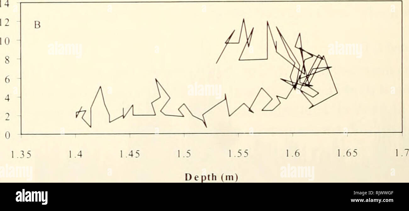 Geschwindigkeit datieren limoges 87