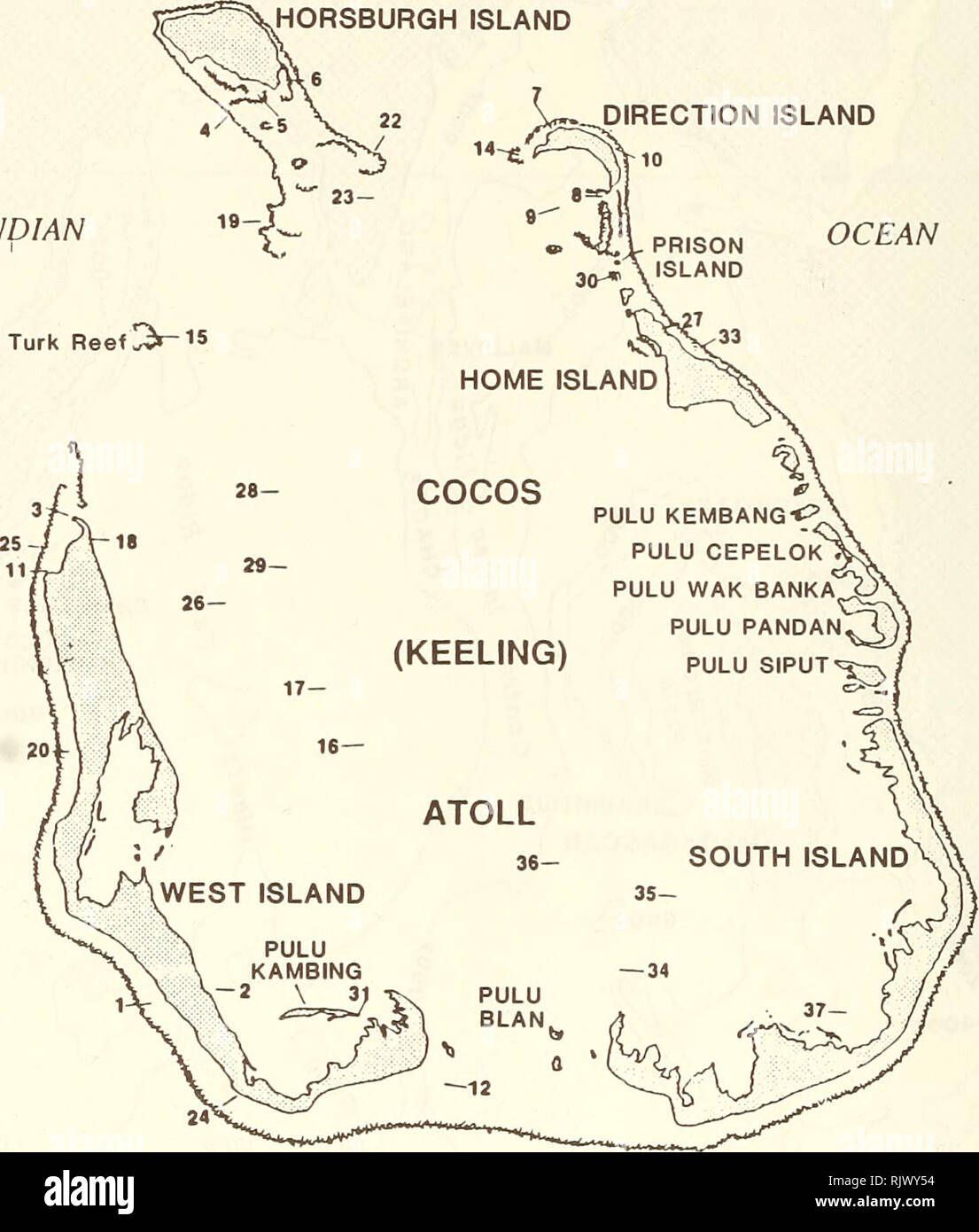 . Atoll Forschung Bulletin. Korallenriffe und Inseln; Meeresbiologie; Marine Sciences. HORSBURGH, Insel 6 -12 Â°05' L- c INDISCHER OZEAN -^â MO'. km 96° 50' 96" S5-I Abbildung 2. Die Cocos (Keeling) Inseln, zeigt Stationen aus dem Sammlungen während der Western Australian Museum Expedition im Jahr 1989 gemacht wurden. Diese Stationen umfassen eine Reihe von verschiedenen marinen Lebensräume (siehe Kapitel 8, Abb. 1), die als: Outer Reef Steigung (9 Websites: Stationen 4, 7, 13, 15, 19, 22, 25, 32 und 33), Reef Flat (13 Seiten: Stationen 1, 3, 6, 8, 10, 11, 12, 14, 20, 21, 24, 27 und 30) und die Lagune zusammengefasst werden können Stockfoto