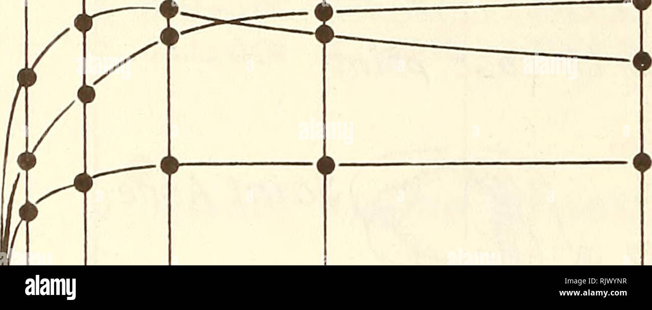 . Atoll Forschung Bulletin. Korallenriffe und Inseln; Meeresbiologie; Marine Sciences. 24 10 5 Max. , Cm2 â Sek-/ID W 10 A I/"-o/2 3 2 6/2 24 4-8 96 TQr h Abbildung 2. Änderung der mittlere maximale Koeffizienten der horizontalen turbulenten Austausch von Motion Menge (Amax) mit der Erhöhung der durchschnittlichen Zeitraum (T) an Granit Inseln: 1 - Süd Küste von Praslin, Station 10, Horizon 15 m, Tiefe von 23 m. 2 - der nordöstlichen Küste von Mah 6, Ankerplatz im Hafen, Station 12, Horizon 9,5 m, Tiefe von 10 m. 3 - der nordöstlichen Küste von Mahe Station 13, Horizon 3.5m, Tiefe von 4 m. 4 - Süd Küste von Praslin, Stati Stockfoto