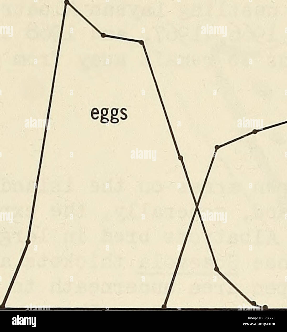 . Atoll Forschung Bulletin. Korallenriffe und Inseln; Meeresbiologie; Marine Sciences. 105 Laysan Albatros gezüchtet auf einem gut definierten jährlichen Zyklus, von Mitte November bis Mitte August, die keine signifikante Jahresgang zeigten. Abbildung LA-1 zeigt den Zyklus für die 1964-65 Brutzeit, wenn die genauesten Daten erhoben wurden. 800 600 - O E3 400 - 200. Junge N D 1964 M A 1965 M Abbildung LA-1. Zucht Zyklus von laysan Albatros auf Green Island, Kure Atoll, 1964-65. Das erste Ei wurde am 21. November 1963 festgelegt? 20 November 1964, 17. November 1965? Und am 19. November 1968. Eier waren bis La festgelegt Stockfoto