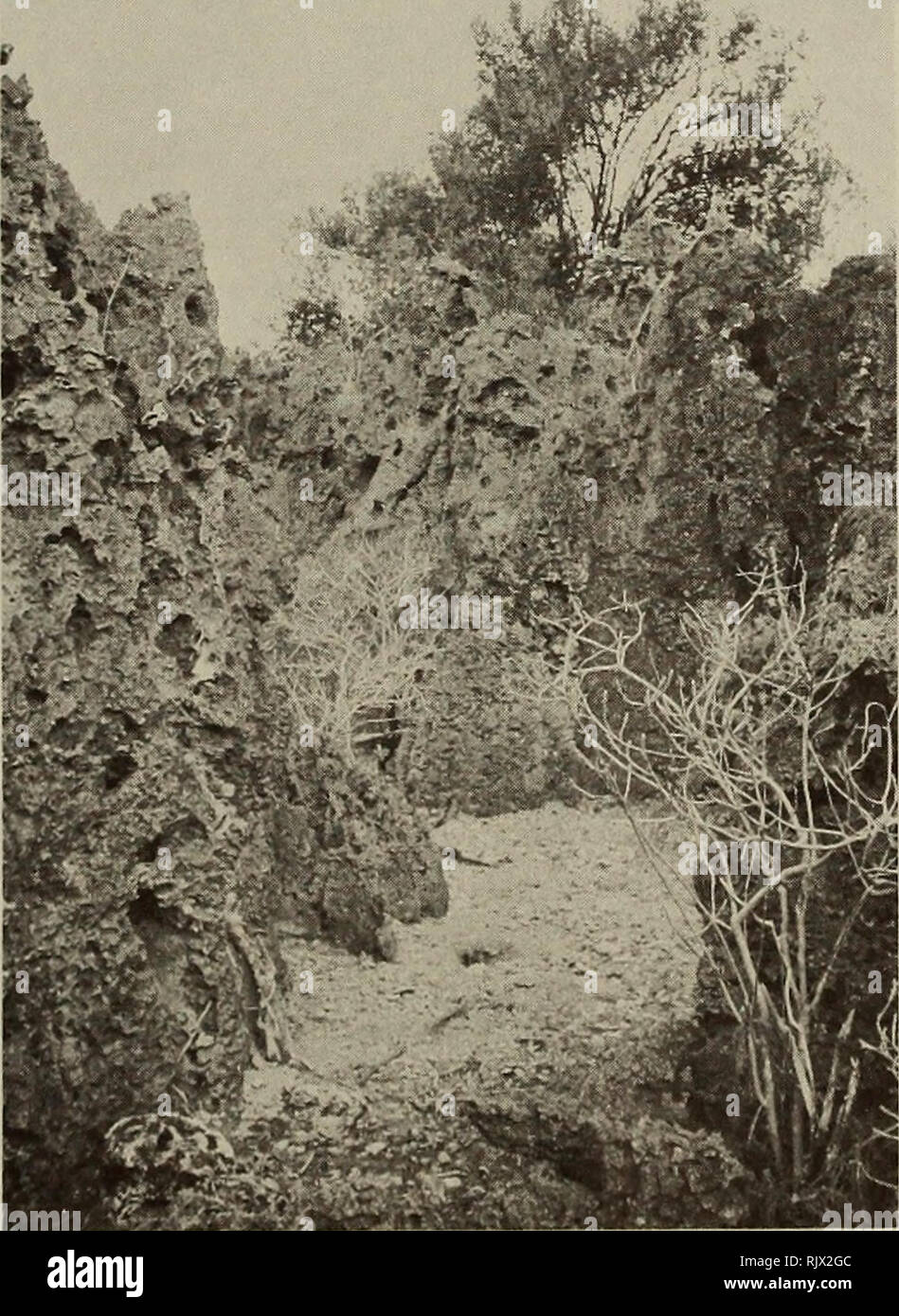 Landformen illustrationen Fotos und Bildmaterial in hoher Auflösung