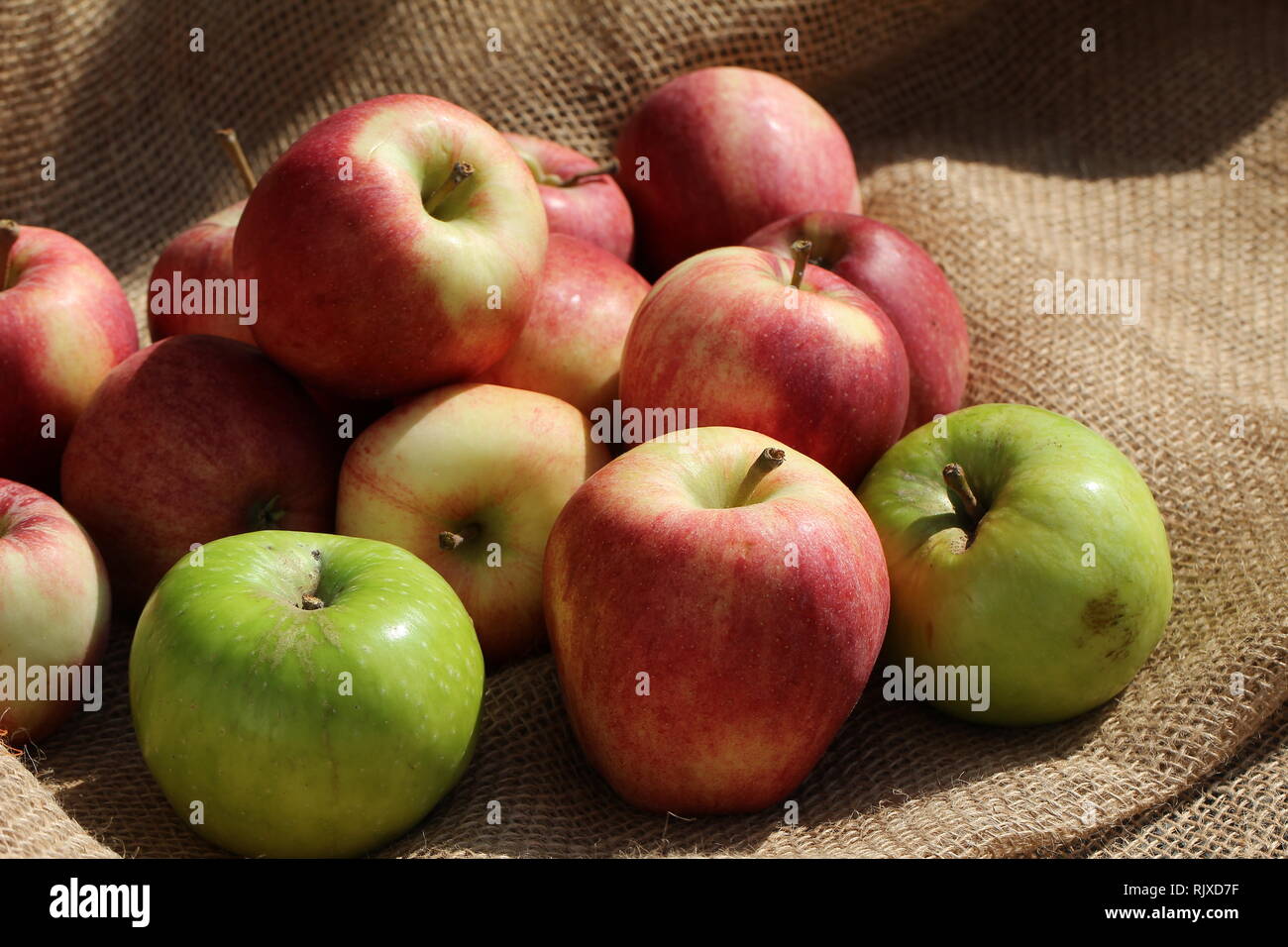 Frisches Obst / kleiner Korb mit reifen Äpfeln Stockfoto