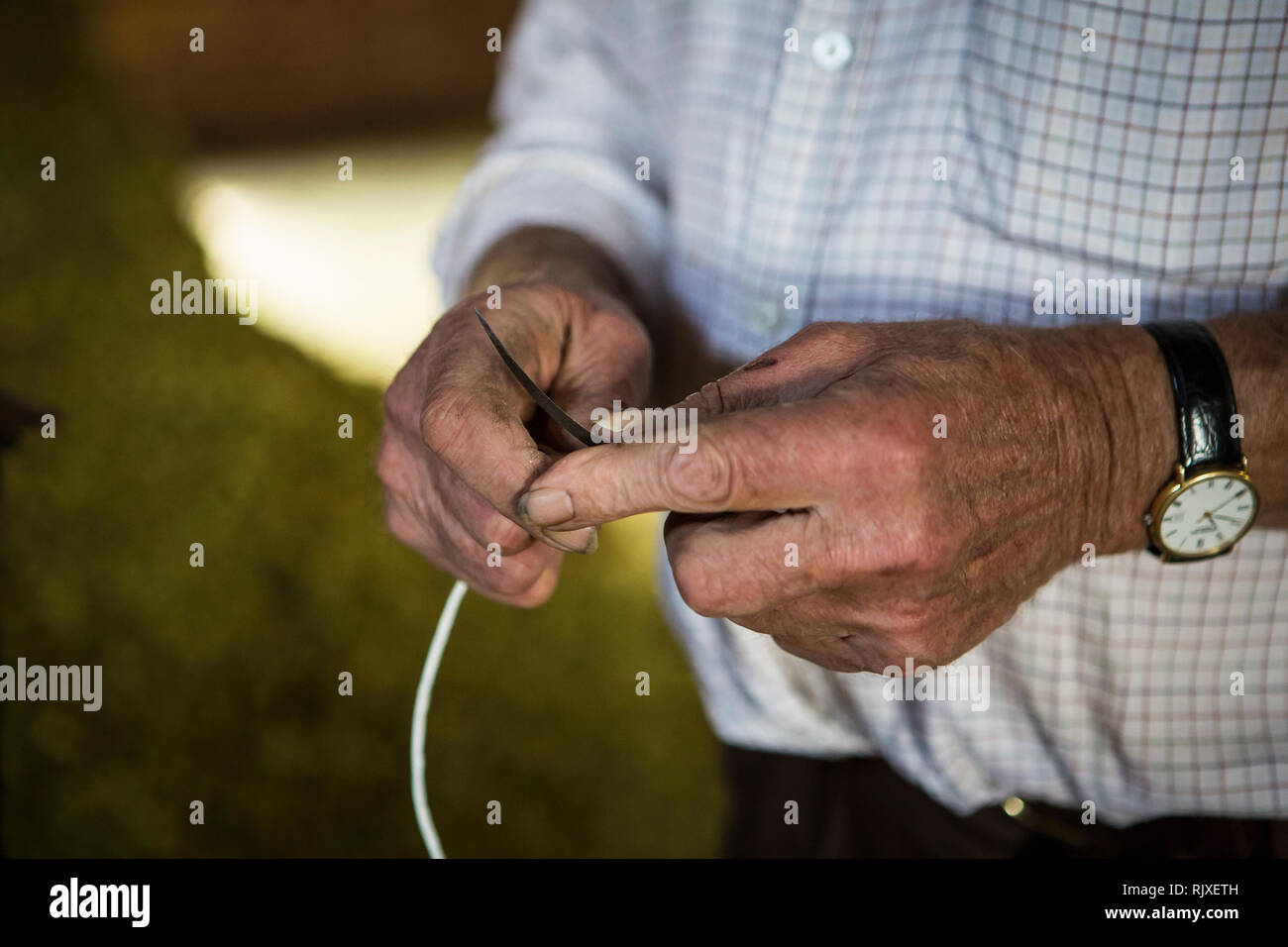 Nähen Sie die hop Taschen nach Drücken der Hopfen bei Larkins Brauerei, Chiddingstone, Kent Stockfoto