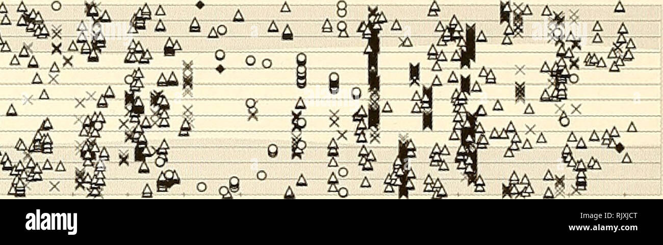 . Atoll Forschung Bulletin. Korallenriffe und Inseln; Meeresbiologie; Marine Sciences. 300 CD Q o 0 E I-I MIDWAY ATOLL CARGO PIER^^^^^^^^^^^^, â&amp; ¼ Insel 1 / 9 y^""'' FREGATTE PUNKT/'^/|; l ( .,- VCHANNEL tiââ 5 â 3 â 3 âSkm C. ignobitis U 2791 4:00 n^, 0:00 6. SEP OKT NOV DEZ JAN FEB MÄR APR MAI JUN JUL C. IGNOBILIS U 2795 24:00;. Â.  g^â"¢  ^ * A^M A^A (&gt;, a,. i8n.   .^  ?teS8t ---1---------^^0 Bo 1 19 - nnC S 0 6 i" 1A * a-Qo! A.-. A,. -^-.- . Â ¦ - A -^.^"'", "^2Aa^0,0^^ 0 "^Â°.â ¦ 0:00 L 1 A, 0,, â ¦ 1,0, 1,0, 20, 27, Sept OC ^ Stockfoto