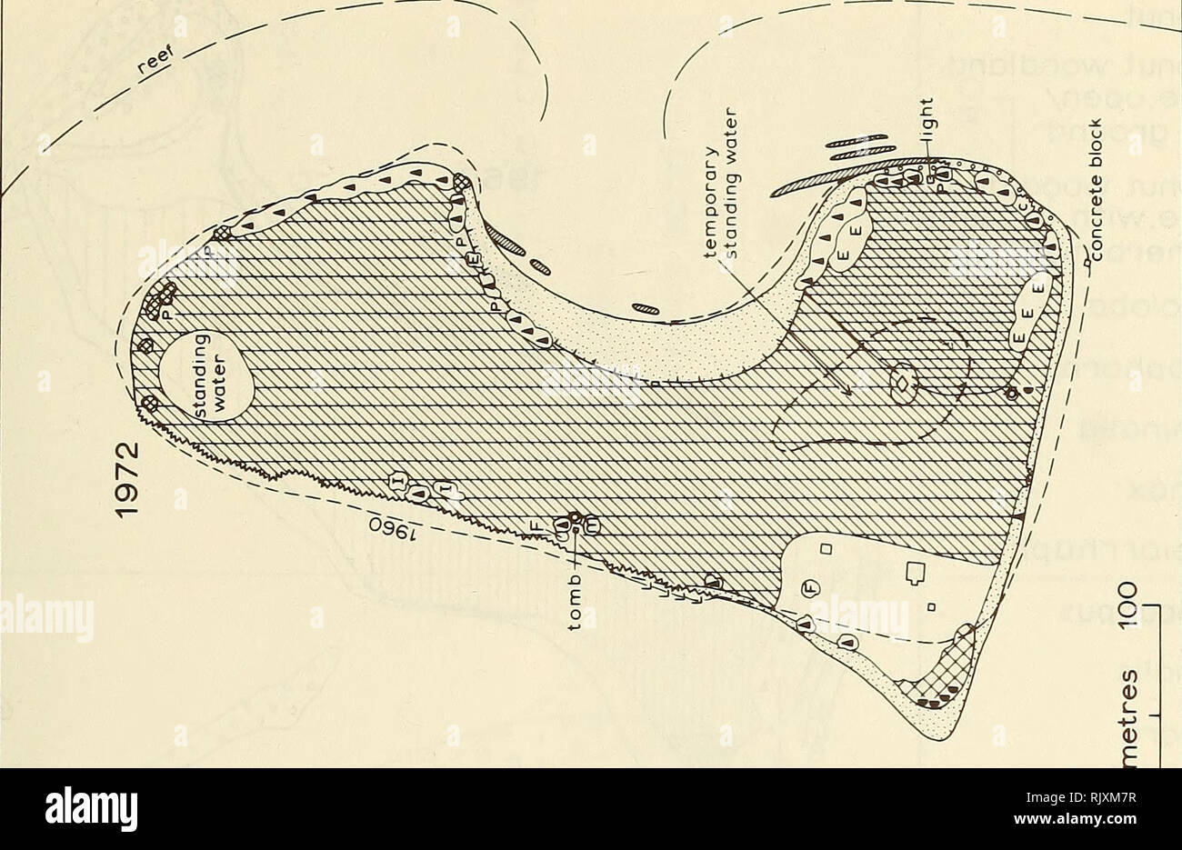 . Atoll Forschung Bulletin. Korallenriffe und Inseln; Meeresbiologie; Marine Sciences. . Bitte beachten Sie, dass diese Bilder sind von der gescannten Seite Bilder, die digital für die Lesbarkeit verbessert haben mögen - Färbung und Aussehen dieser Abbildungen können nicht perfekt dem Original ähneln. extrahiert. Smithsonian Institution. Drücken Sie; National Research Council (U. S.). Pacific Science Board, Smithsonian Institution, National Museum of Natural History (U. S.); in den Vereinigten Staaten. Bureau des Sports Fischerei und Wild lebende Tiere. Washington, DC: [Smithsonian Drücken] Stockfoto