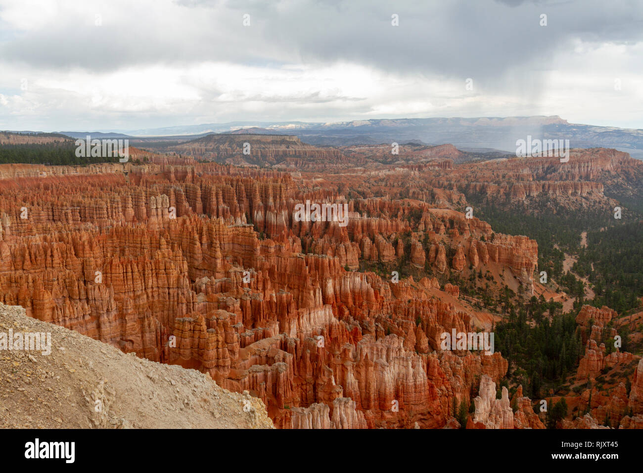 Blick vom Bryce Point (Blick nach Norden), Bryce Canyon National Park, Utah, United States. Stockfoto