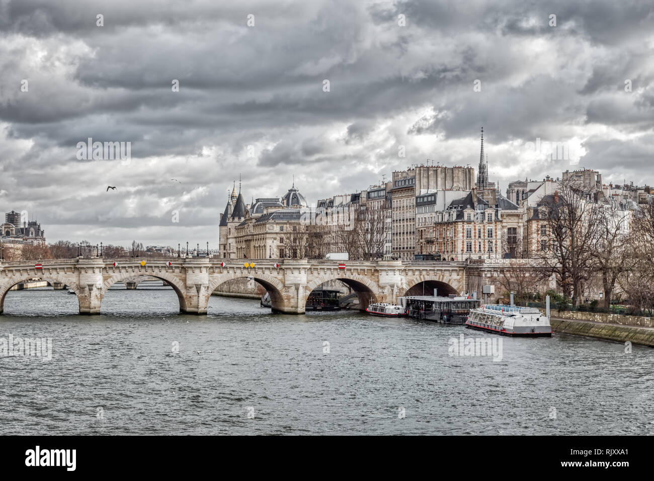 Pont Neuf und Ile de la Cite in Paris Stockfoto