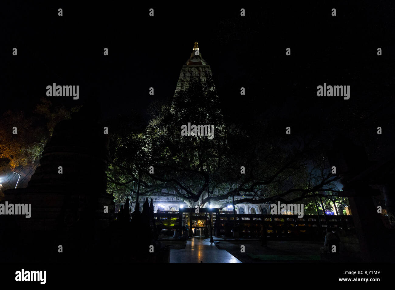 Baum und Mahabodhi Tempel der Nacht, Bodhgaya, Indien Stockfoto