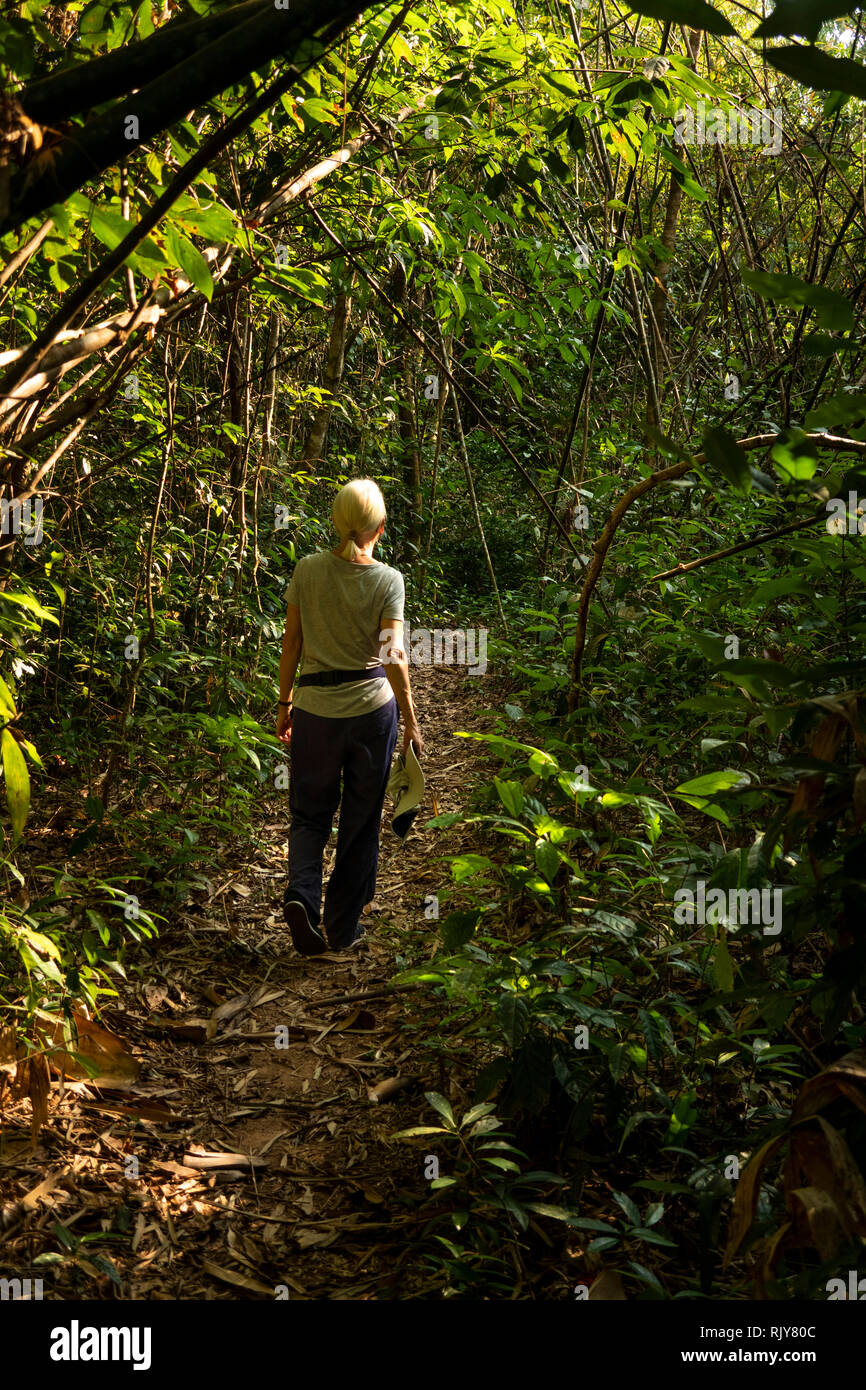 Kambodscha, Koh Kong Provinz, Tatai, Rainbow Lodge Resort, Senior weibliche Besucher auf waldlehrpfad Pfad Stockfoto