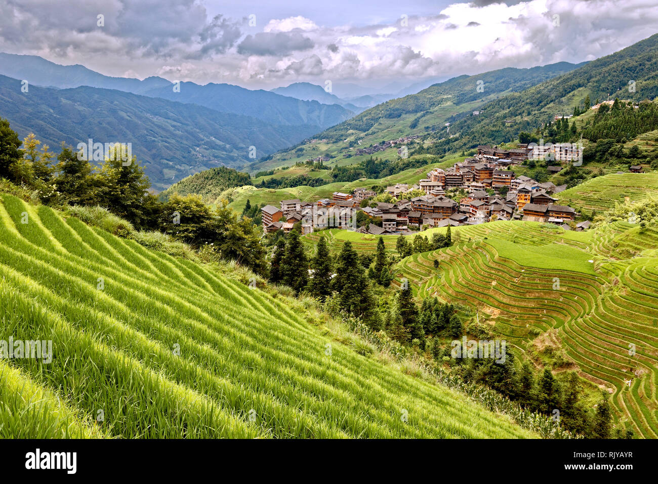 Guilin Region Reisterrassen, China Stockfoto