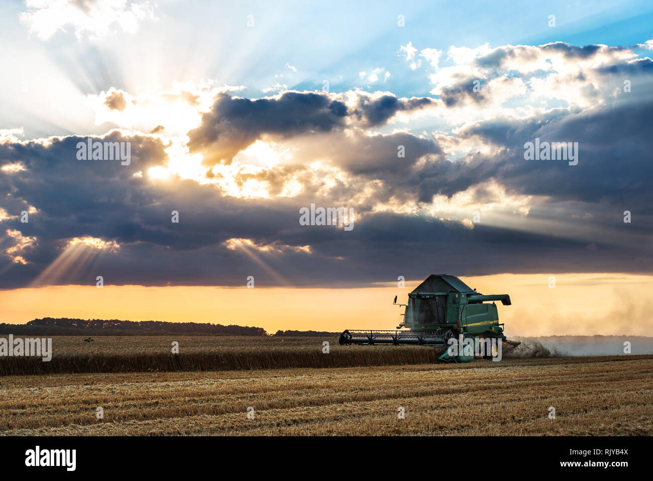 Dobritsch, Bulgarien - Juli 08: Moderne John Deere Mähdrescher Ernten von Getreide auf dem Feld in der Nähe der Stadt Dobrich, Bulgarien Juli 08, 2016. Stockfoto