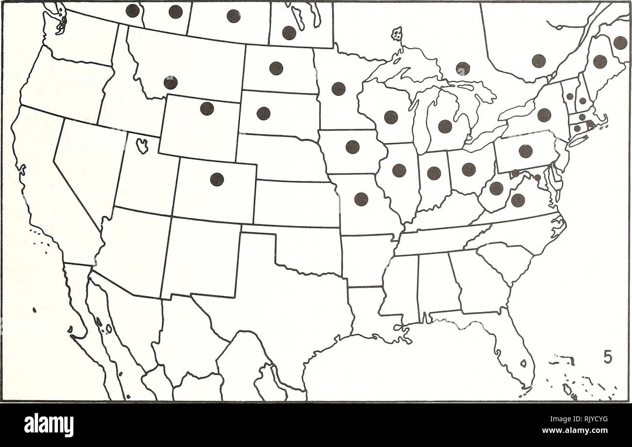 . Atlas der Vereinigten Staaten Bäume: Band 6. Ergänzen. Bäume. Karte 3. - Crataegus brachyacantha Sarg. &Amp; Engelm., blueberry Weißdorn. Karte 4. - Crataegus brainerdii Sarg., Brainerd Weißdorn. Auch K.A. Karte 5. - Crataegus chrysocarpa Ashe, fireberry Weißdorn. Auch N.S., P.E.I. und Nfld.. Bitte beachten Sie, dass diese Bilder sind von der gescannten Seite Bilder, die digital für die Lesbarkeit verbessert haben mögen - Färbung und Aussehen dieser Abbildungen können nicht perfekt dem Original ähneln. extrahiert. Wenig, Elbert L. (Elbert Luther), 1907-2004; in den Vereinigten Staaten. Forest Service. Washington, DC: Stockfoto