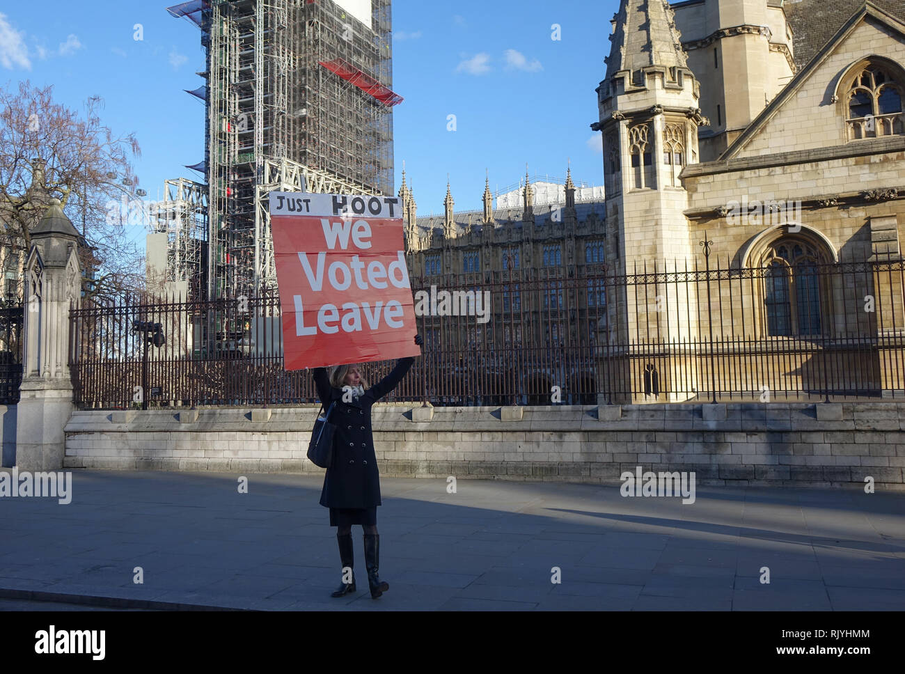 Pro-Brexit campaigner gegenüber Westminster. 28. Januar 2019, London. Stockfoto