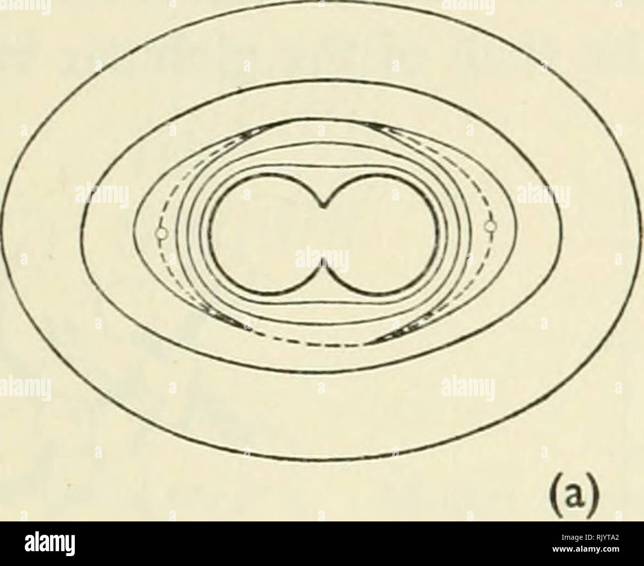 . Aspekte der Ursprung des Lebens. Leben; Biochemie; Biochemie; Biogenese. Das Ausmaß der strukturellen Einheiten in Biopoesis 159 Partikel in Bezug auf einen dritten Partikel in Ihrer Nähe. In (a) in der Region der möglichen Minimum gibt es eine flache Mulde entlang der Achse der Particle pair, in (C) entlang des Äquators. Die Hinzufügung einer dritten Partikel werden im Falle von (a) und die dreieckige in der (c) (Abb. kollinear sein. 3 b) und d)). Es ist leicht zu sehen, dass dies dazu führen wird, mit weiteren Ergänzungen, die Bildung einer Faser im ersten Fall und eine enge - verpackte Kristall in Stockfoto