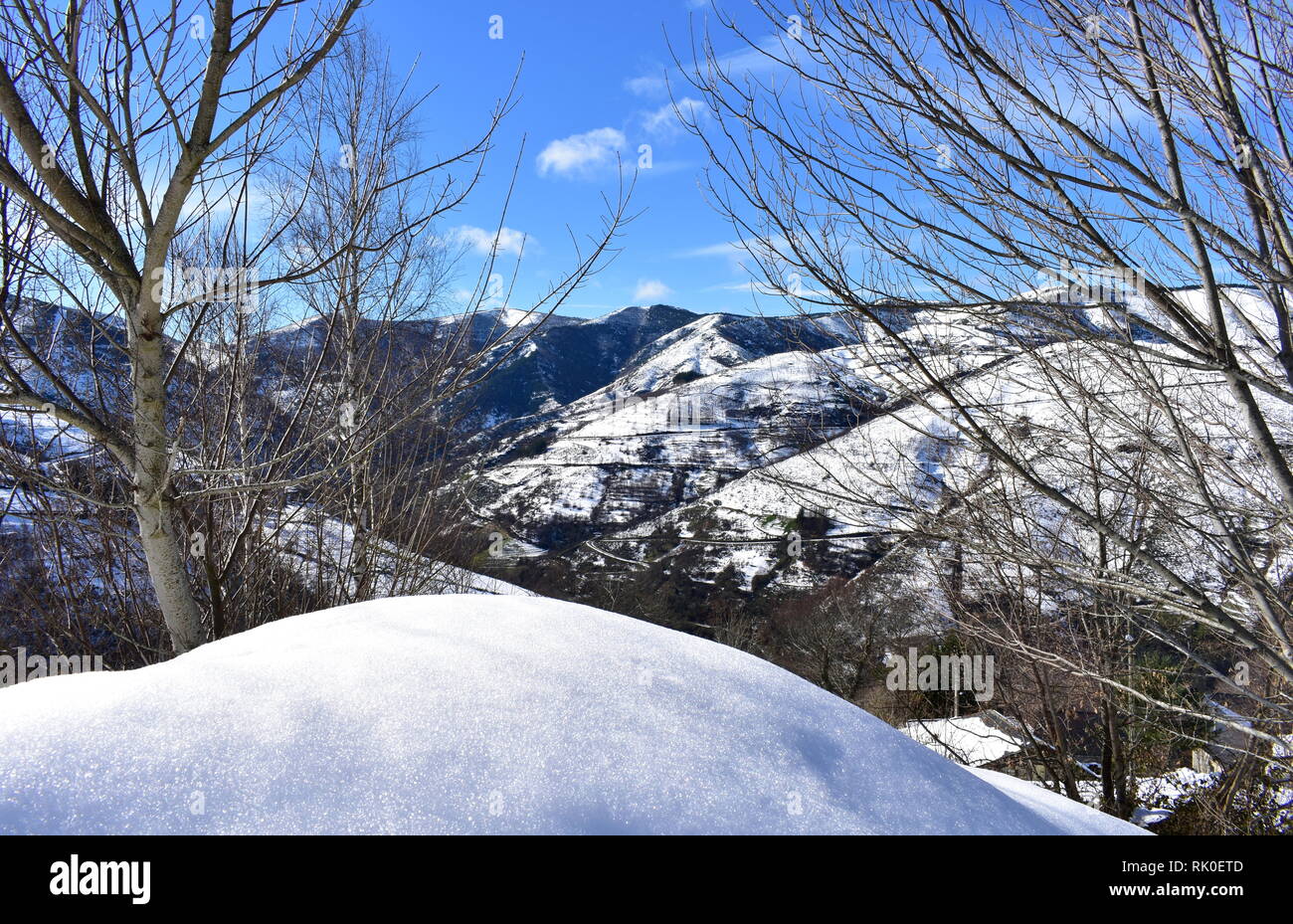 Winterlandschaft mit Schnee bedeckten Bergen und Bäumen. Ancares Region, Provinz Lugo, Galizien, Spanien. Stockfoto