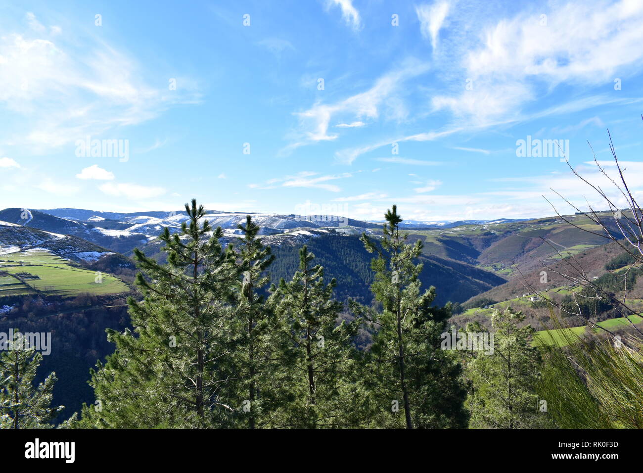 Winterlandschaft mit Schnee bedeckten Bergen und Pinien. Tal und Hänge mit Wald und grünen Wiesen. Ancares Region, Provinz Lugo, Galizien, Spanien. Stockfoto