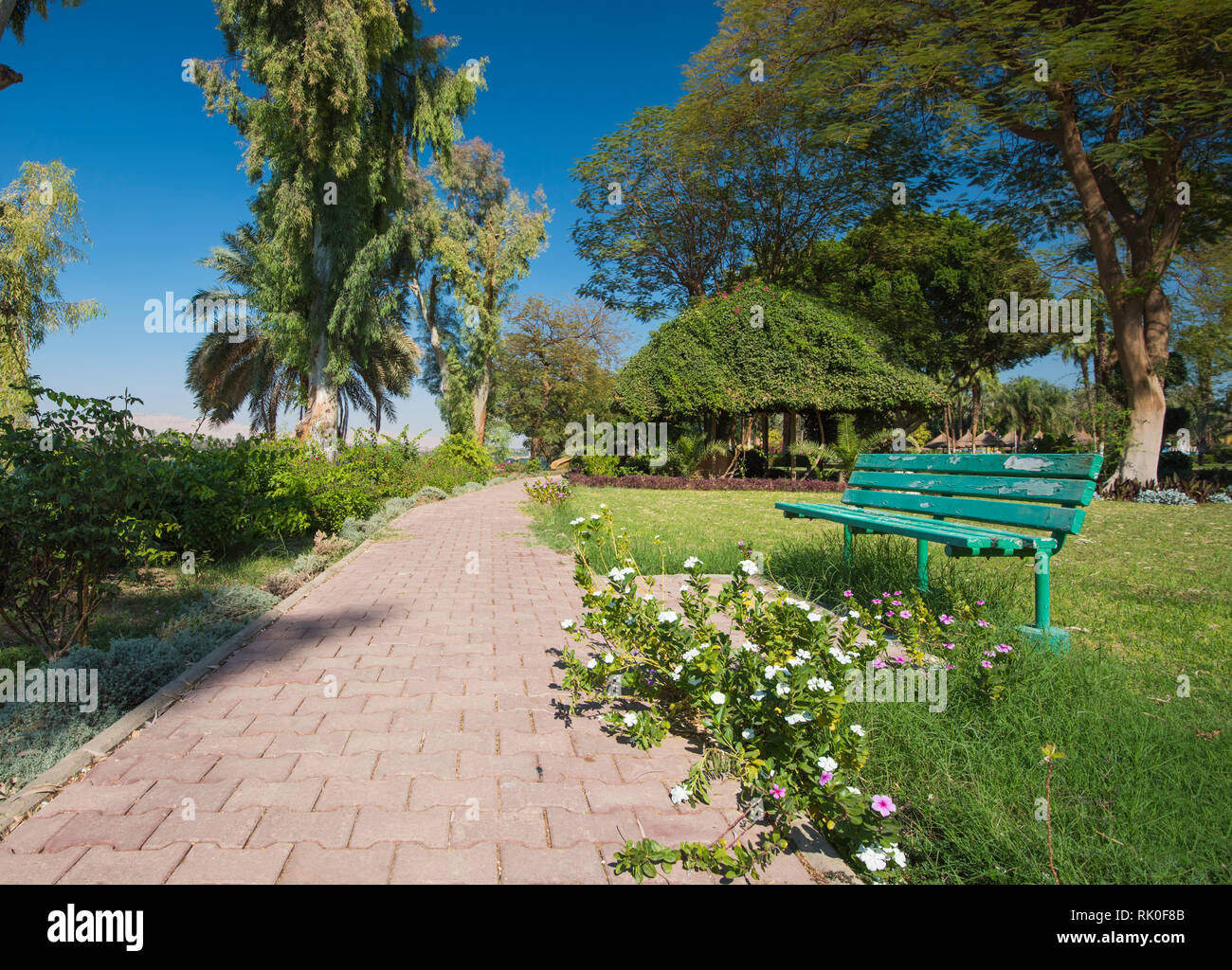 Stein Fußweg durch Büsche und Bäume in tropischen Zierpflanzen Garten mit hölzernen Sitzbank Stockfoto