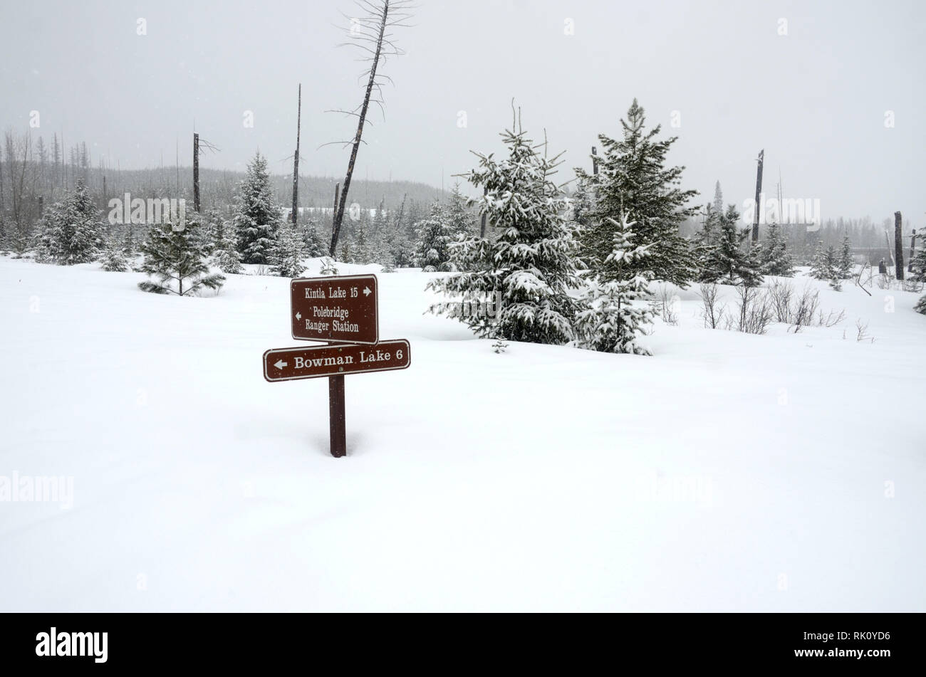 Straßenschild an der inneren North Fork Road im Glacier National Park, die im Winter für den Fahrzeugverkehr gesperrt ist. In Der Nähe Von Polebridge, Montana. Stockfoto