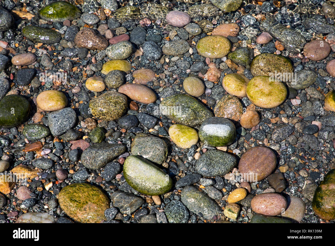 Kiesel auf Crabby Bay Beach zeigt die Vielfalt von Gesteinen aus Alderney Geologie. Stockfoto