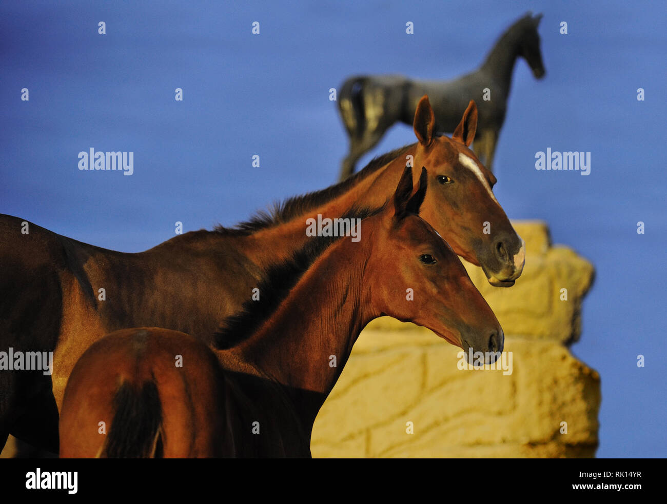 Zwei Pferde, Stute und Ihr Fohlen, auf der Suche nach einem die Kamera  stand neben einem Pferd Metall Statue auf dem Hintergrund. Horizontale,  Porträt, seitwärts Stockfotografie - Alamy