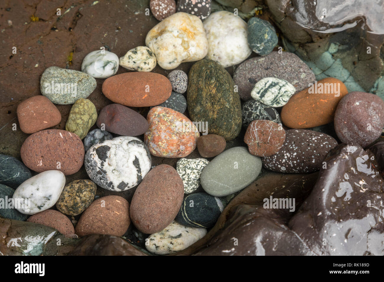 Eine Gruppe von glatten Felsen in verschiedenen Farben in einer natürlichen Umgebung. Stockfoto