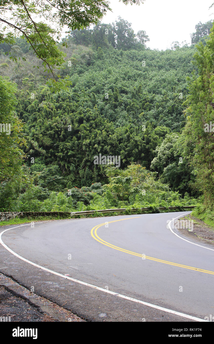 Einem blinden Kurve auf dem Weg nach Hana von Regenwald in Maui, Hawaii umgeben Stockfoto