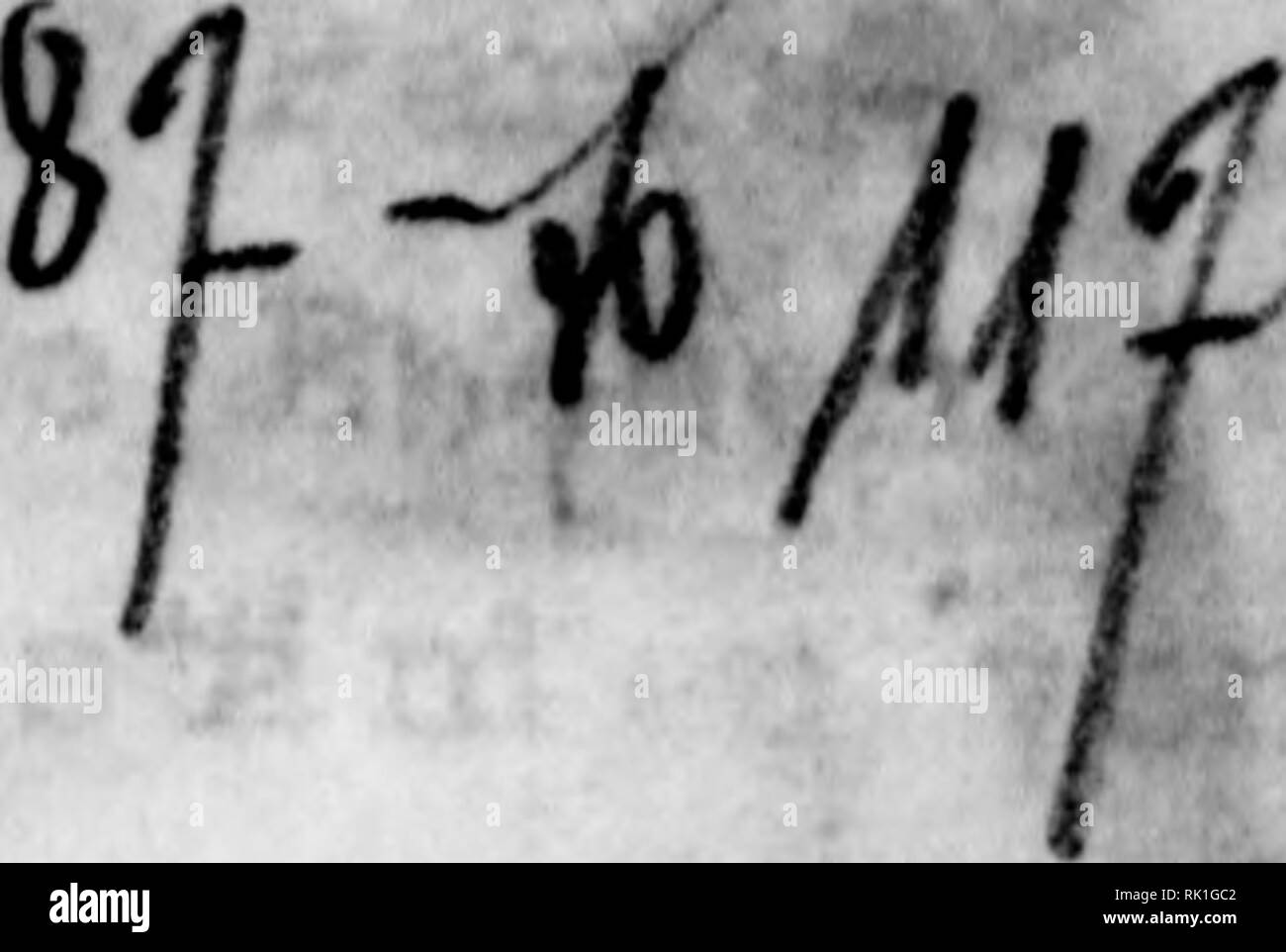 . Arthur und Fritz Kahn Sammlung 1889-1932. Kahn, Fritz 1888-1968; Kahn, Arthur David 1850-1928; Natural history Illustratoren; Natural History. ^ l et; Ri-^'t^r^4 r' O .1 l e'' W lüiD nö. t; r " i c. O't - "x^io i b i-i>n> x. 11:) l. 4. o r-. TfS Ix 0 "y" ^.^ Kapitel 5. Bitte beachten Sie, dass diese Bilder sind von der gescannten Seite Bilder, die digital für die Lesbarkeit verbessert haben mögen - Färbung und Aussehen dieser Abbildungen können nicht perfekt dem Original ähneln. extrahiert. Kahn, Arthur und Fritz. Stockfoto