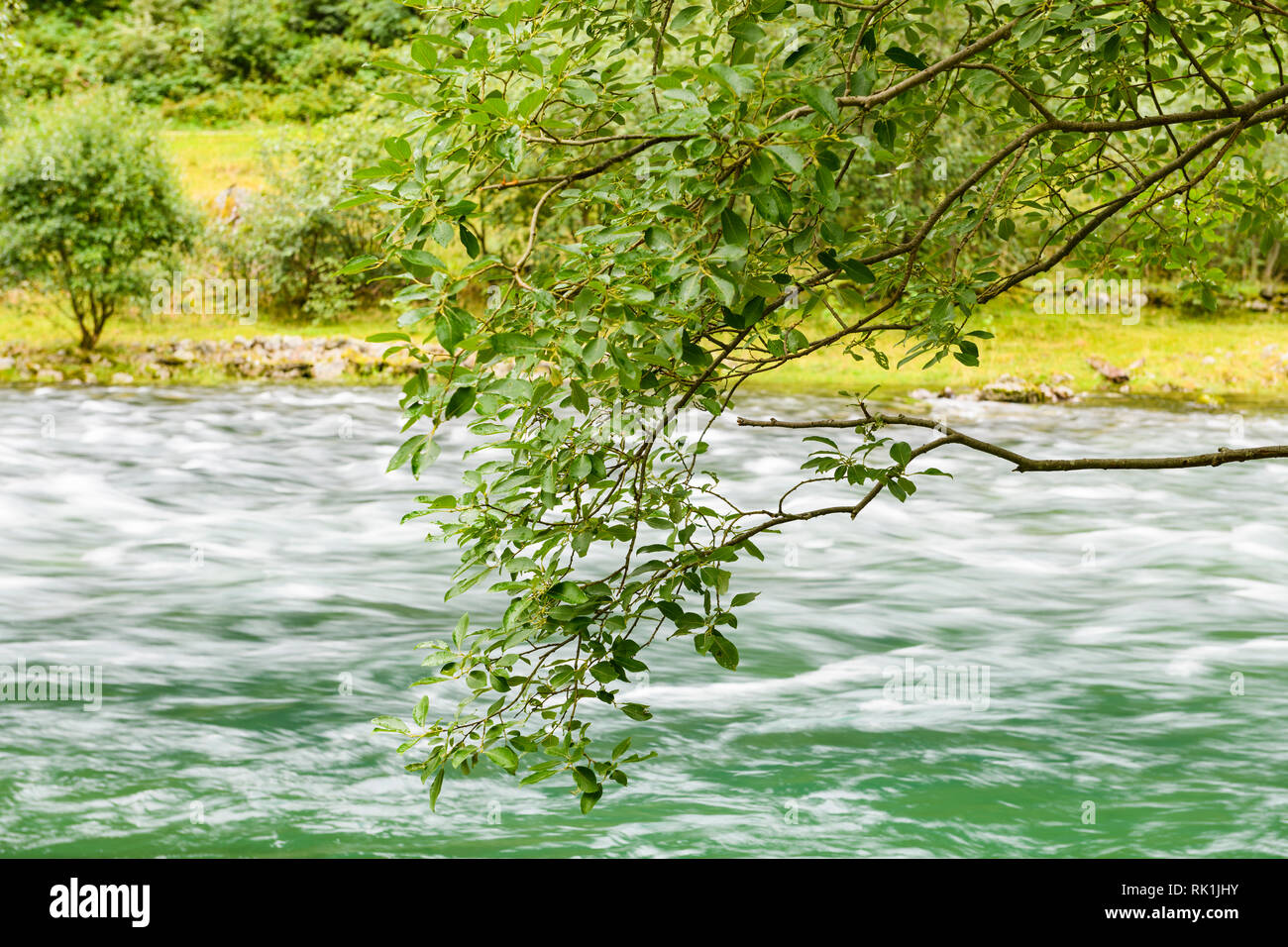 Durch die Zweige in Richtung fließenden Fluss, Flam, Norwegen, Europa Stockfoto