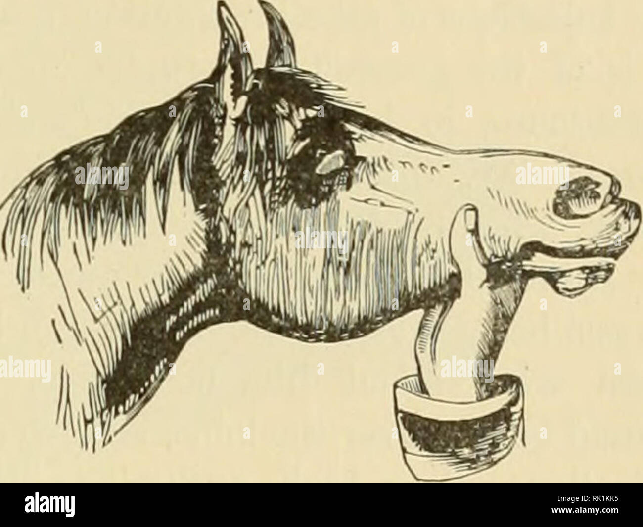 Tetanus Lockjaw Stockfotos und bilder Kaufen Alamy