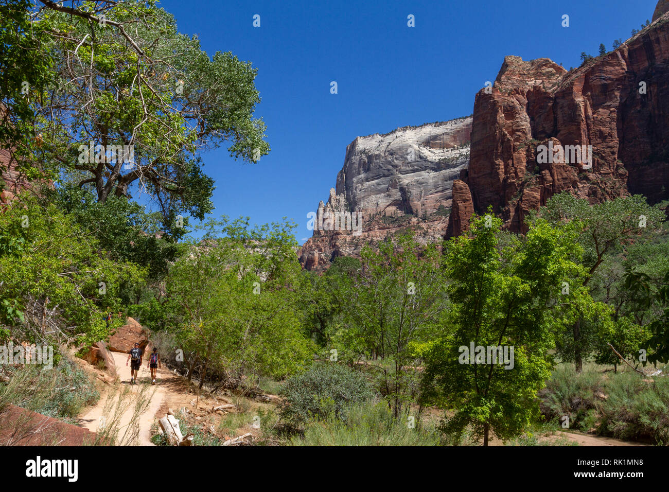 Wanderer auf Emerald Pools Trail neben dem Virgin River in der Nähe des Zion Lodge, Zion National Park, Utah, United States. Stockfoto