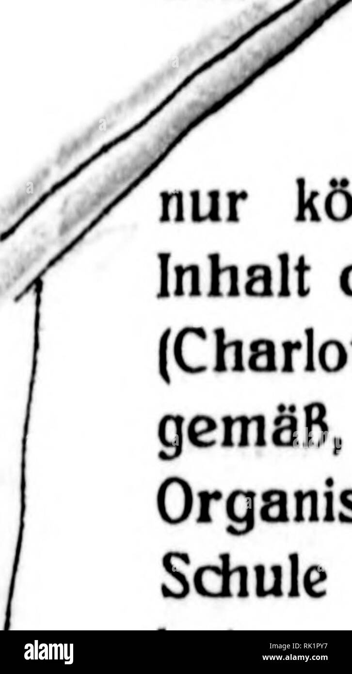 . Arthur und Fritz Kahn Sammlung 1889-1932. Kahn, Fritz 1888-1968; Kahn, Arthur David 1850-1928; Natural history Illustratoren; Natural History. 17. lA^ rz 1922 Lcfl^ zigcr Jüdische Zeitung Seite 5 Letp 3 iöct? Umscbau zum letzten Mal weisen wir heute hin lutf das Jüdische Volksfest der zionistischen Vereinigung Leipzig am Sonnabend, den 18. März abends 7 Uhr im Zoo. Das Gastspiel der berühmten "Wilnaer * läßt einen unvergleich-lichen Genuß erwarten. Aufgeführt wird "jankel der Schmied ** von David PinskL Wer nicht zum Feste kommt, beraubt sich selber der schönsten Purim - Freude. Eintrittskarten e Stockfoto
