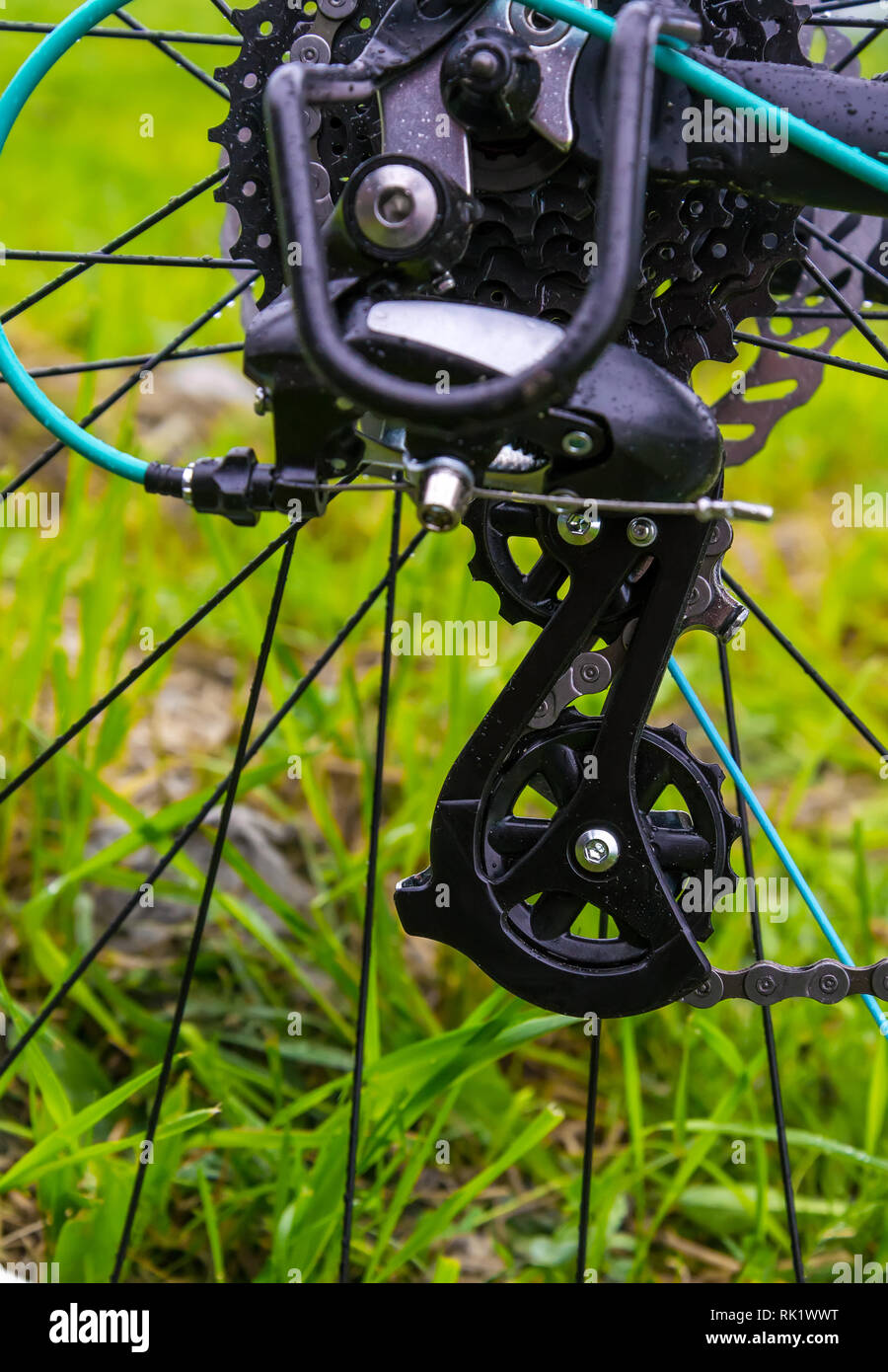 Nahaufnahme eines Fahrrades, Zahnräder und Kette auf das Hinterrad des Mountain  Bike. Hinterrad Kassette aus einem Mountainbike auf grünem Gras Hintergrund  Stockfotografie - Alamy
