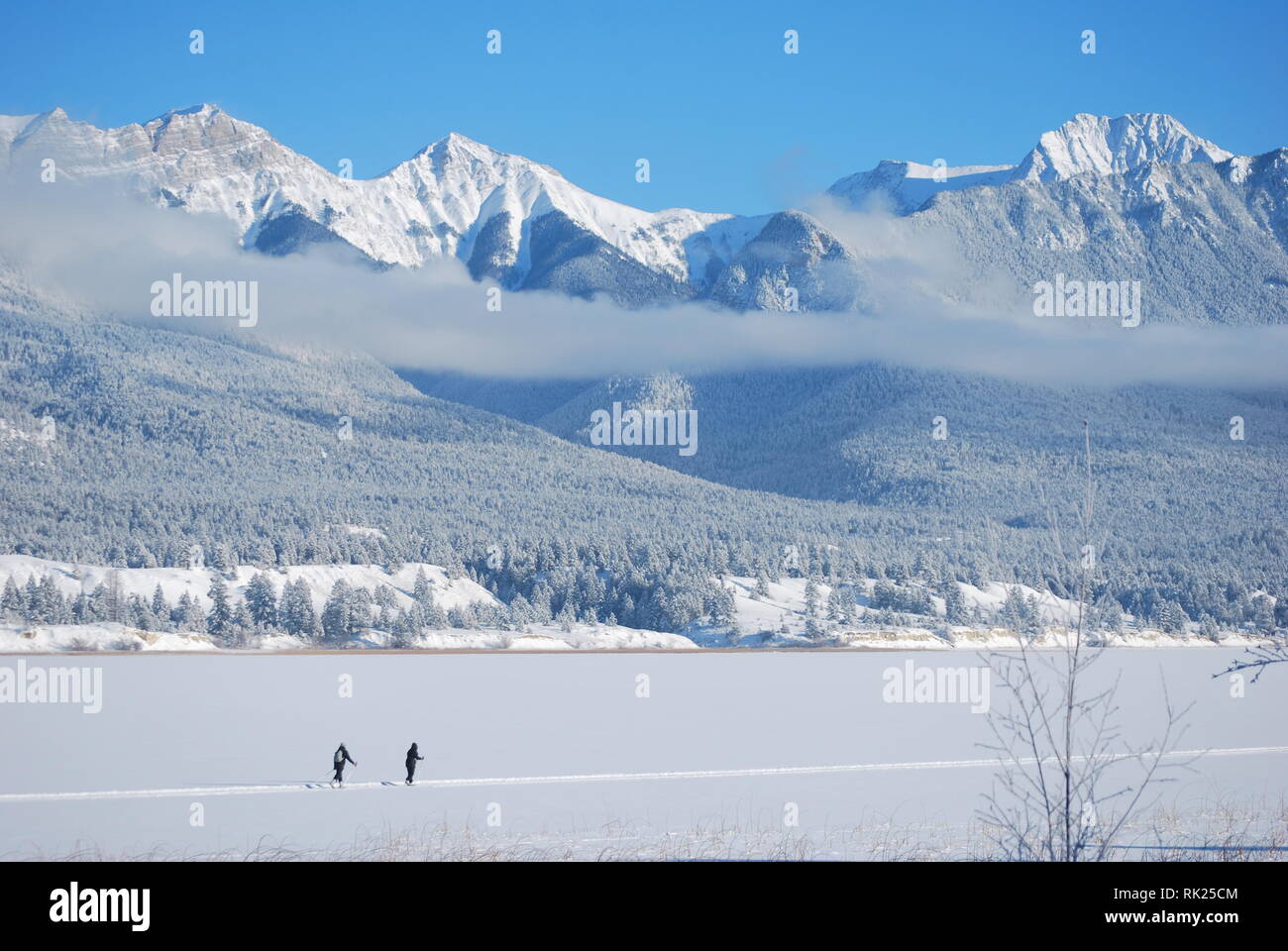 Langläufer auf der 'Whiteway "Trail am Lake Windermere, British Columbia, Kanada Stockfoto