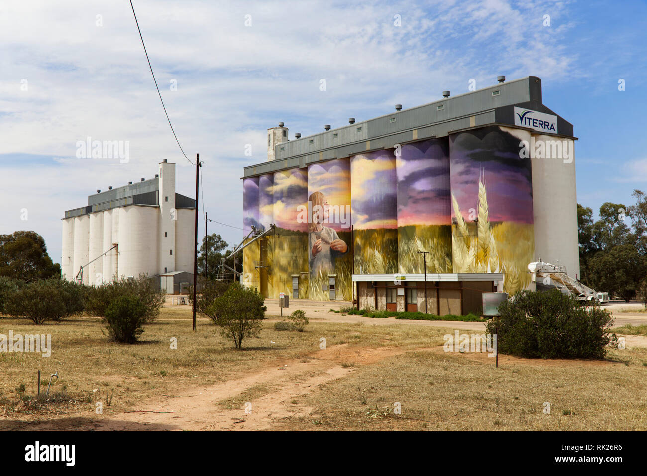 Silo Kunst Wandbild gemalt auf der Seite des Getreidespeichers an Kimba Eyre Peninsula South Australia Stockfoto