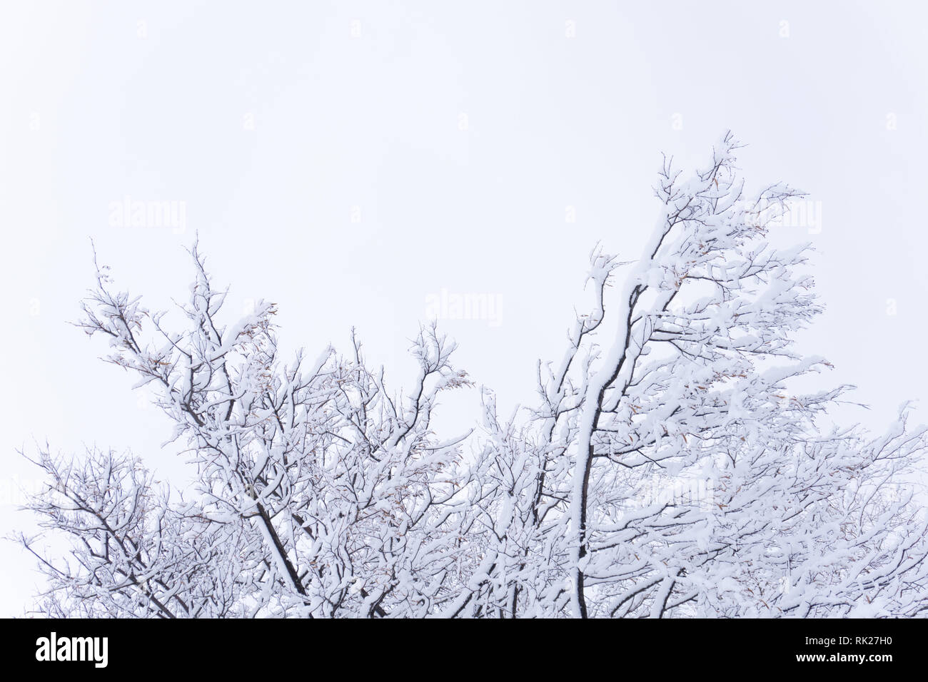 Winter's Tale Schneeregen Titel Reisen weg xmas Tag, Stockfoto