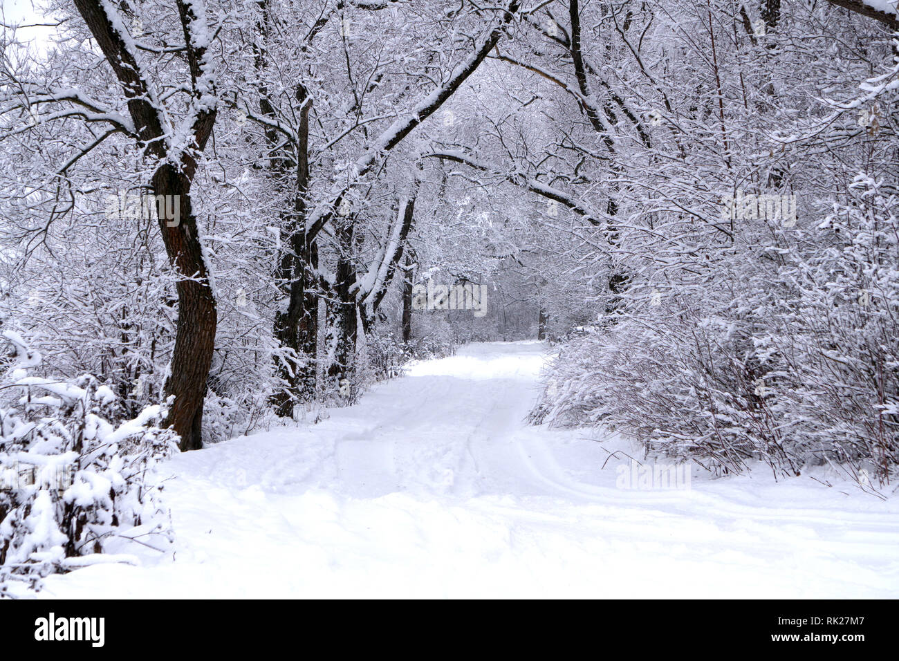 Gasse in verschneiten Morgen natürlich niemand ländlichen, Stockfoto