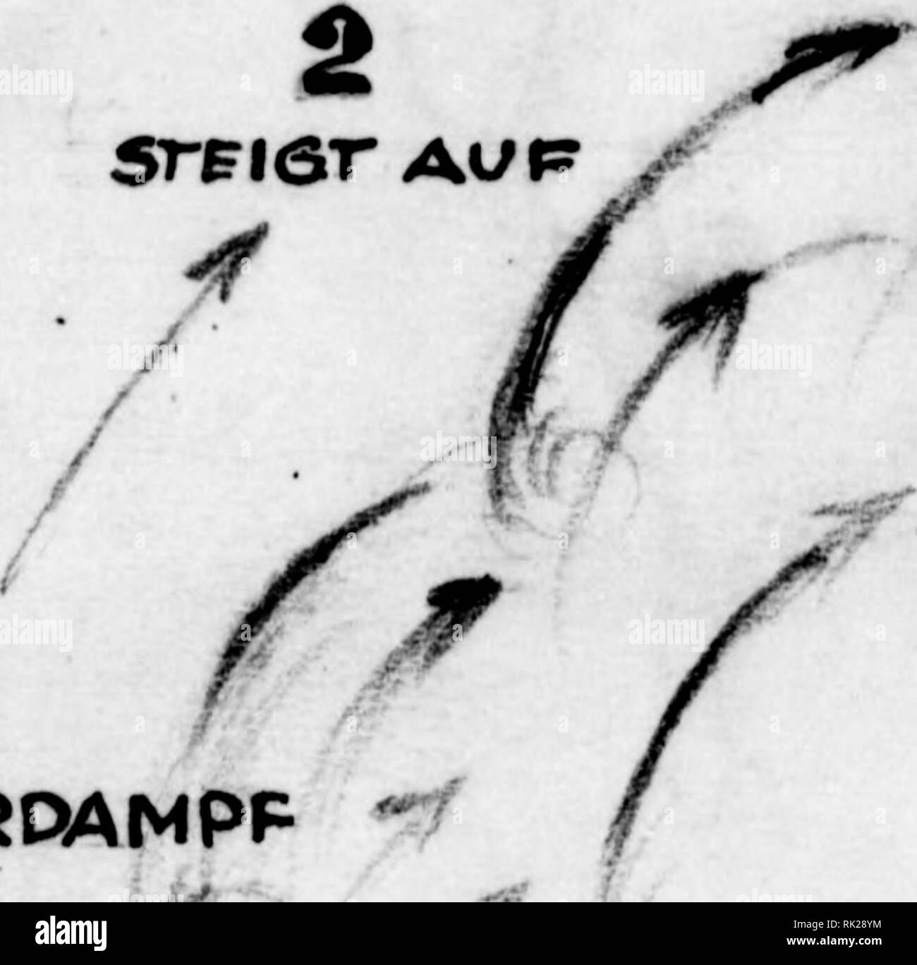 . Arthur und Fritz Kahn Sammlung 1889-1932. Kahn, Fritz 1888-1968; Kahn, Arthur David 1850-1928; Natural history Illustratoren; natürliche Geschichte. Ich X Â" 1 Ãt,1 t Es gibt drei Formen der Hegenentstehung:! BÂ ± e dbx Der Gewitterregen&gt; Scheint die Sonne ein heisseri und verhÃ¤ltnismÃ¤ssig Wind - • ruhigen Tagen krÃ¤ftig aiif Wcipoorfiaehen odcw feuulile DUamir, so steigt die erwÃ¤rmte Mitte himnAmfinVi Li&gt; inht gnTirni 'f^^ nP' T.]] | IS ± y Niederländisch - setzt mit viel WassermolekÃ¼len, eehnoi: l-ind steil wie in einem Schornstein aufwÃ¤rts, uaÃ¤ golangtpda keiu - Wind b'lu vurirebAÂ" raach^ •^^^*) {^ • Sterben Stockfoto