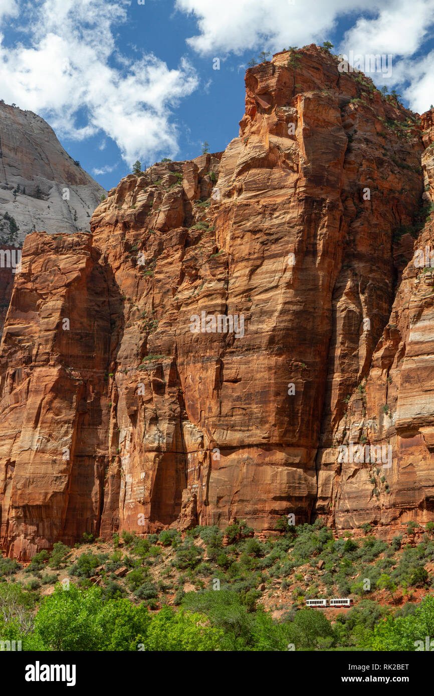 park-shuttle-bus-richtung-big-bend-aussichtspunkt-vorbei-unter