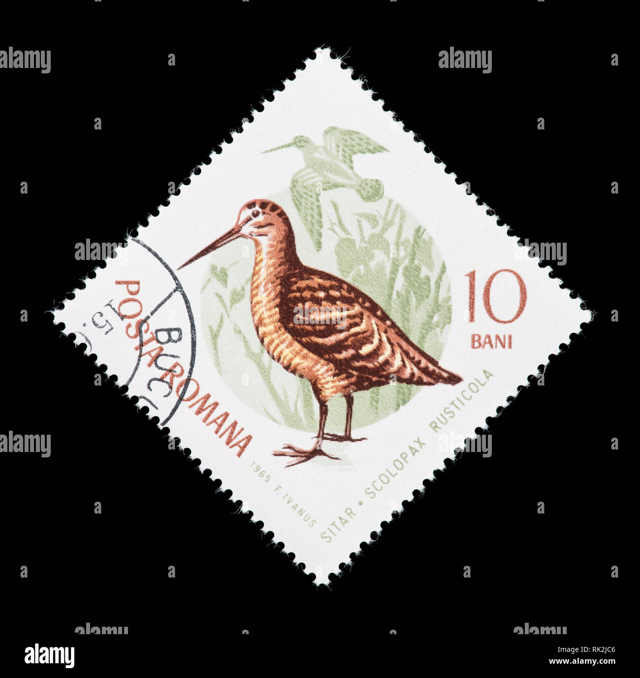 Briefmarke aus Rumänien, die Darstellung einer eurasischen Waldschnepfe (Scolopax rusticola) Stockfoto