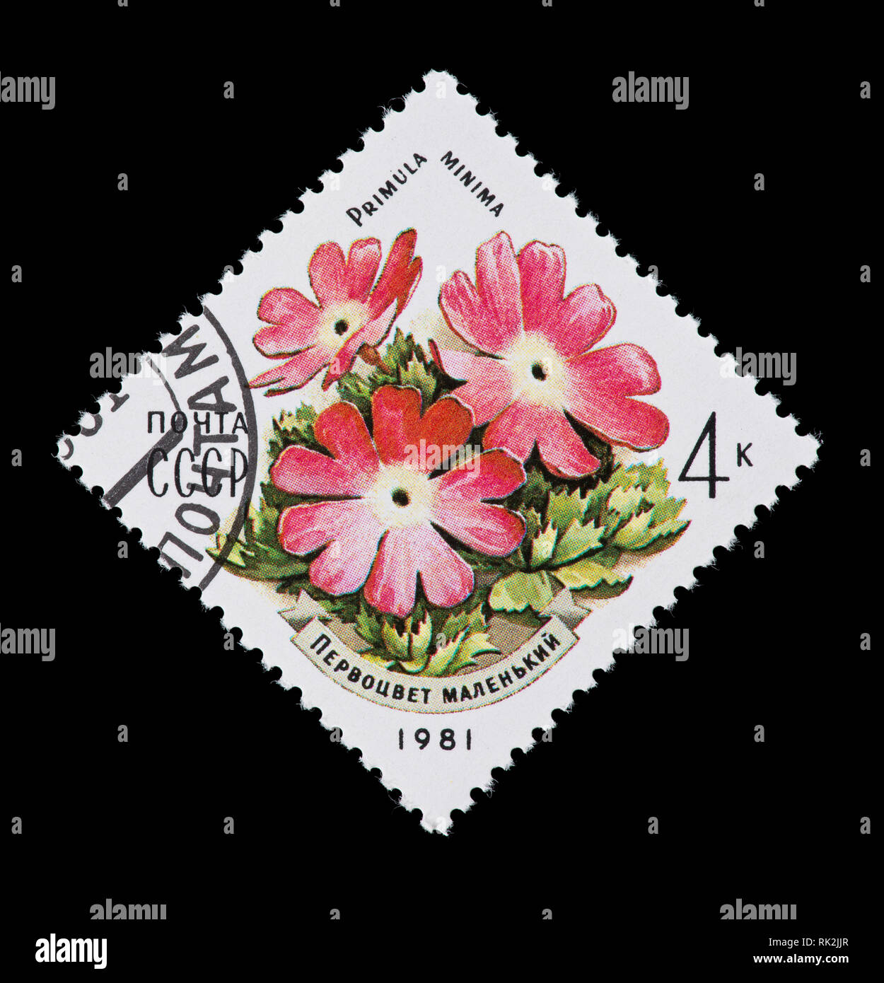 Briefmarke aus der Sowjetunion, die einen Zwerg primel Blume in die Karpaten. Stockfoto