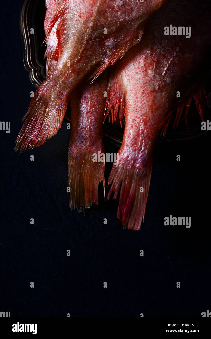 Raw gefroren roher Fisch Barsch auf schwarzem Hintergrund. Ansicht von oben Stockfoto