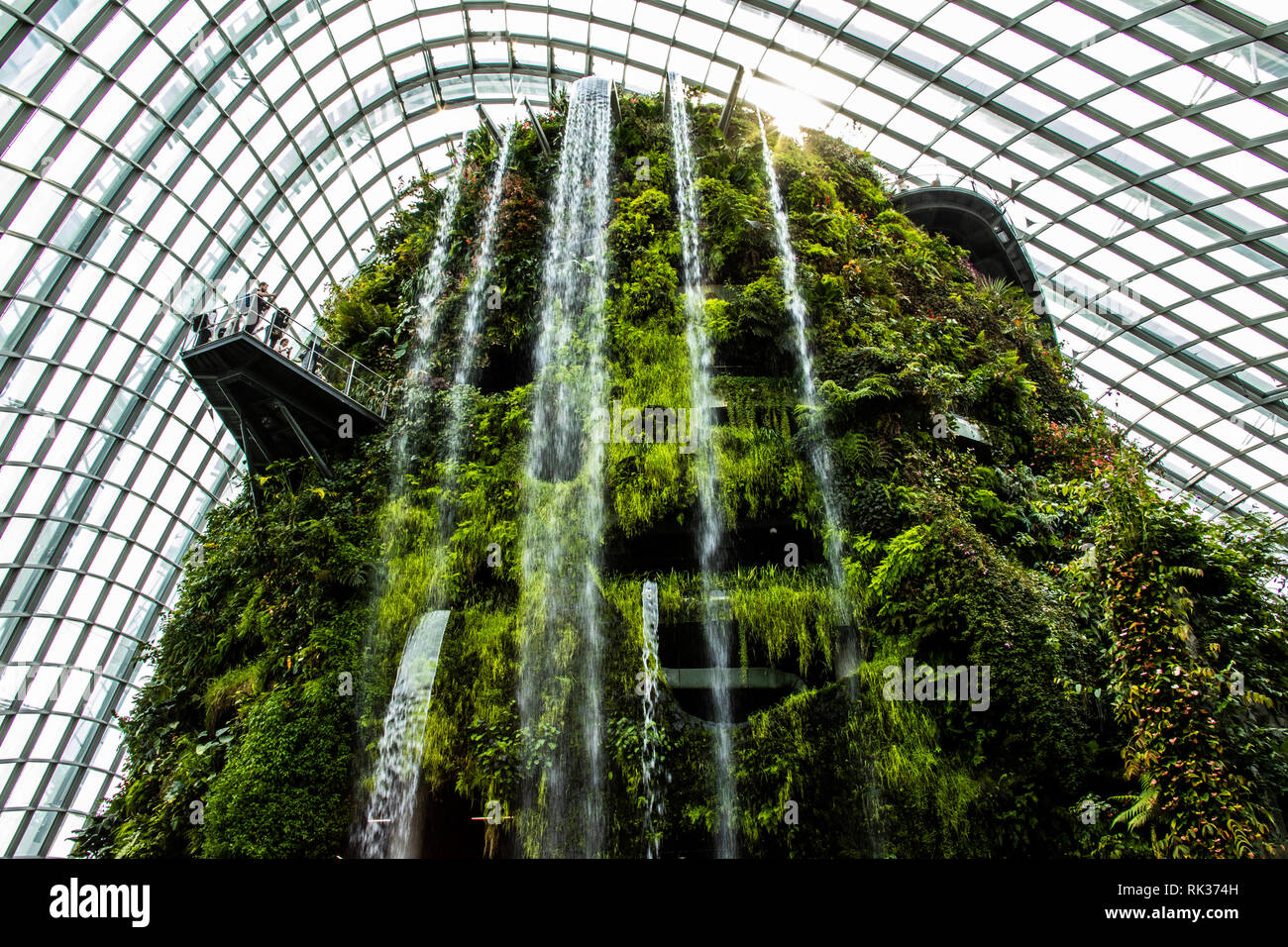 Cloud Forest, Gärten an der Bucht, Singapur Stockfoto