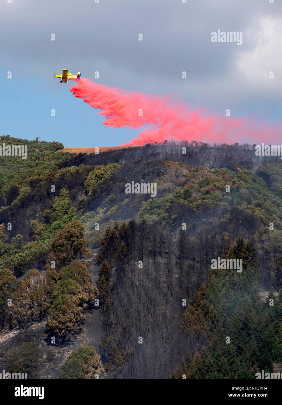 Wellington, Neuseeland. 8 Feb, 2019. Ein Hubschrauber erlischt ein Feuer in der Nähe von Nelson von South Island, Neuseeland, 8. Februar, 2019. Ein mittlerer unerwünschtes Ereignis hat für Tasman Bezirk erklärt worden, Entriegelung weitere staatliche Unterstützung für Landwirte und Weinbauern wie ein Feuer vor drei Tagen beginnen noch Verwüstungen der Region, Neuseeland Landwirtschaft Minister Damien O'Connor am Freitag sagte. Quelle: Tim Manschette/Xinhua/Alamy leben Nachrichten Stockfoto