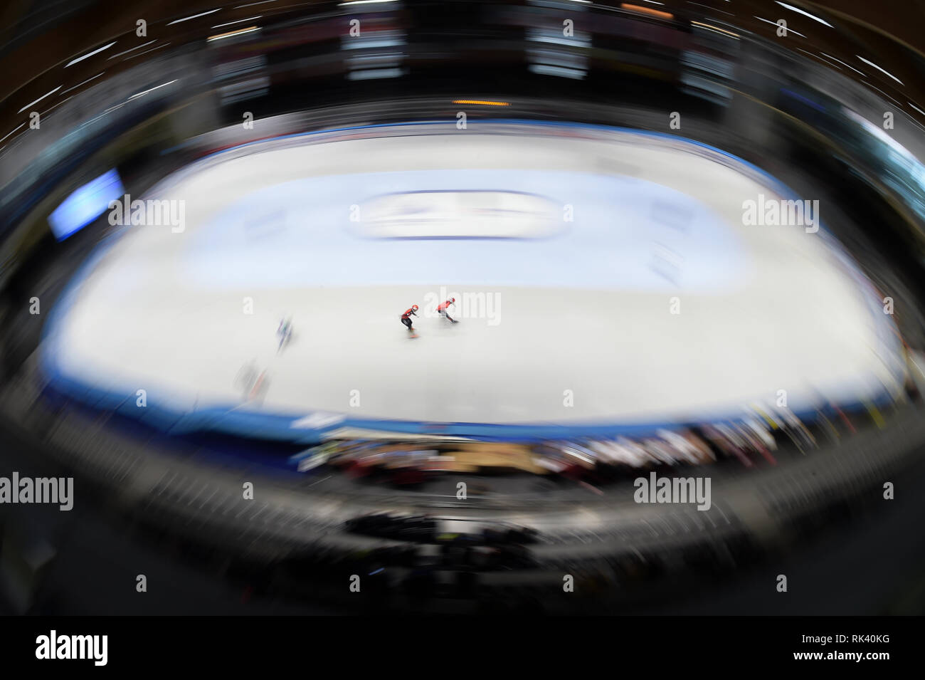 Torino, Italien. 9. Februar, 2019. ISU World Cup Short Track Speed am Tazzoli Eisbahn Torino statt Skaten. Im Bild Damiano Benedetto/Alamy leben Nachrichten Stockfoto