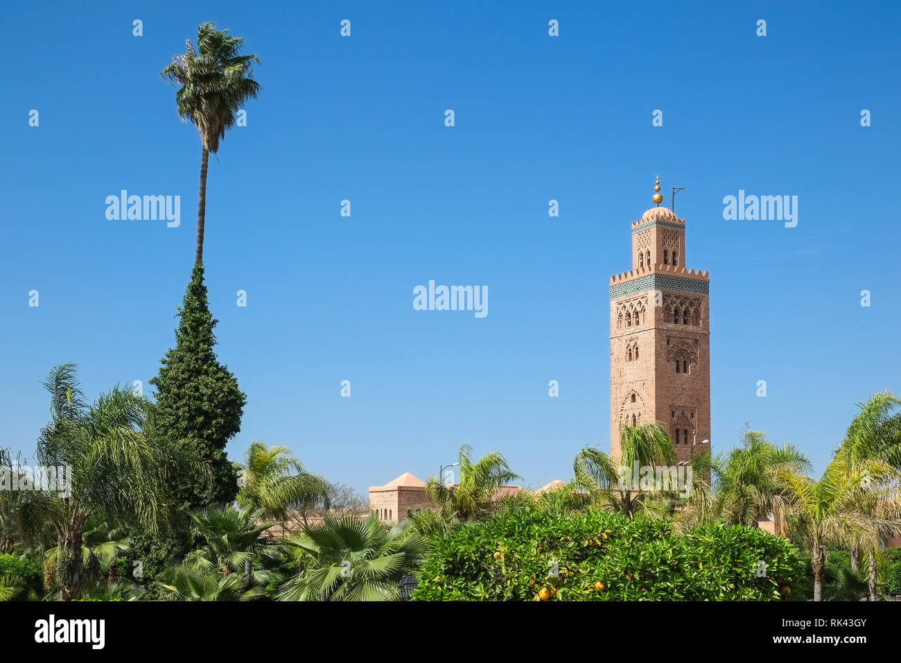 Koutoubia Moschee, Marrakesch, Marokko Stockfoto