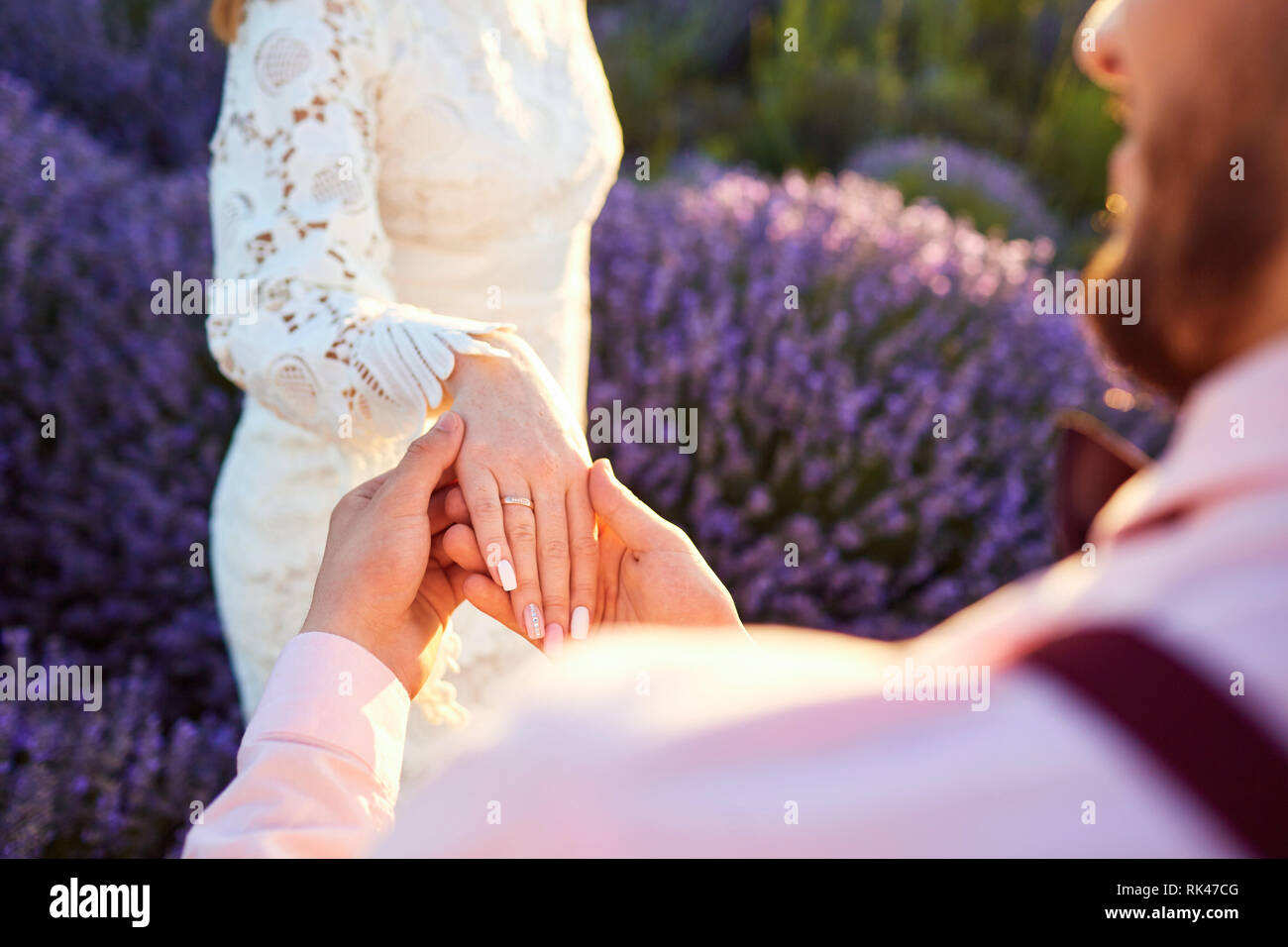 Heiratsantrag in einem Feld von Lavendel. Stockfoto