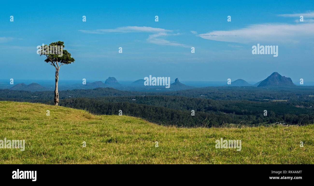 Ländliche Szene Landschaft Brisbane Queensland Australien Stockfoto